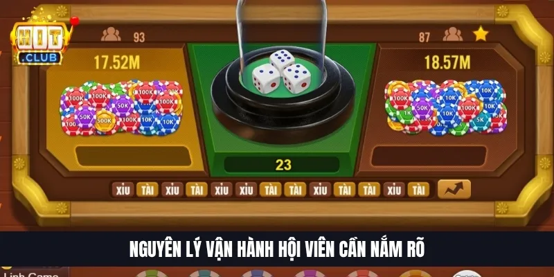 Tài Xỉu MD5 Hitclub | Giải Mã Phiên Cược, Theo Cầu Dễ Hiểu Nguyên lý vận hành hội viên cần nắm rõ